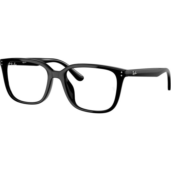 Ray-Ban RX7248D Glasses 2000 Black