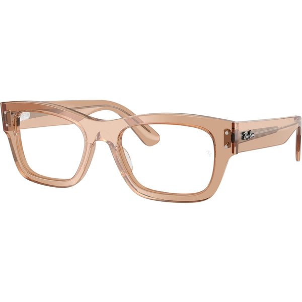 Ray-Ban Joseph RX7683V Glasses 8553 Transparent Light Brown