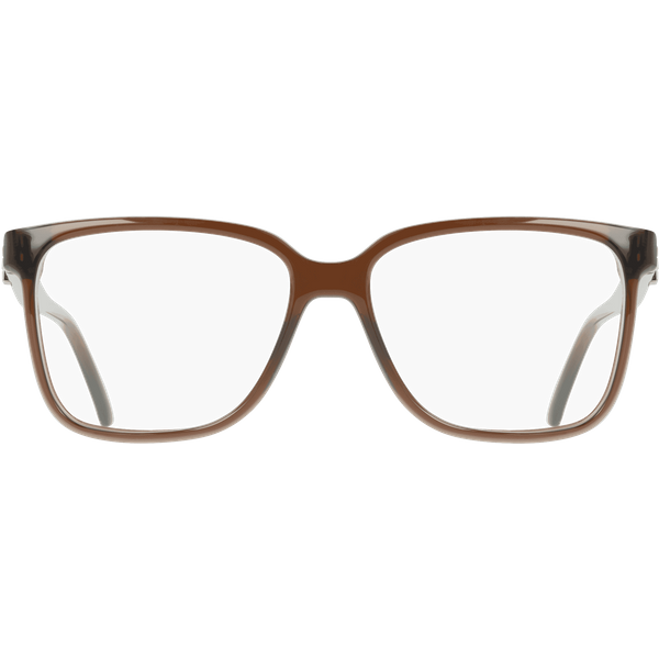 Ferragamo SF3043E Glasses 232 Brown