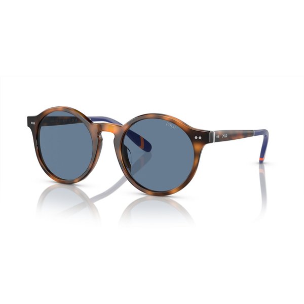 Polo Ralph Lauren PH4204U Men's Sunglasses 608980 Shiny Red Havana/Blue