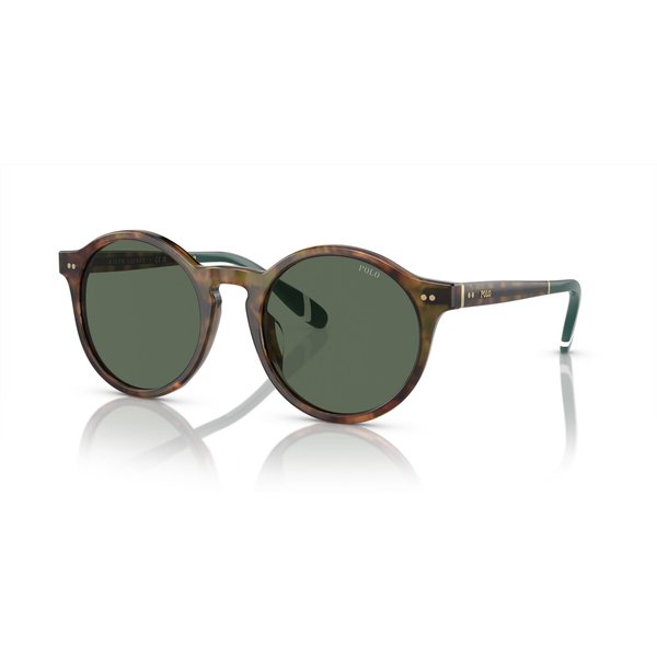 Polo Ralph Lauren PH4204U Men's Sunglasses 501771 Shiny Brown Tortoise/Bottle Green