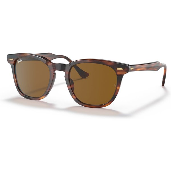 Ray-Ban Hawkeye RB2298 Sunglasses 954/33 Striped Havana/Brown