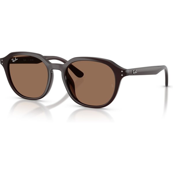 Ray-Ban RB4459D Sunglasses 623173 Opal Brown/Dark Brown