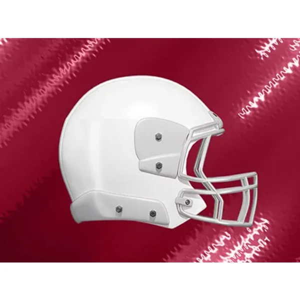 Arizona Cardinals vs New York Jets