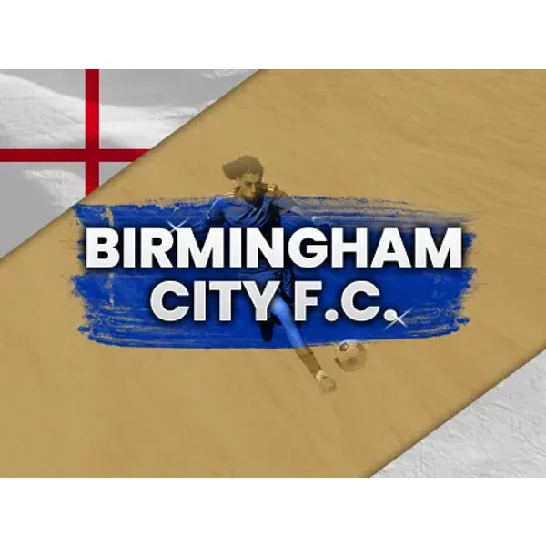 Birmingham City Vs Lincoln City-image