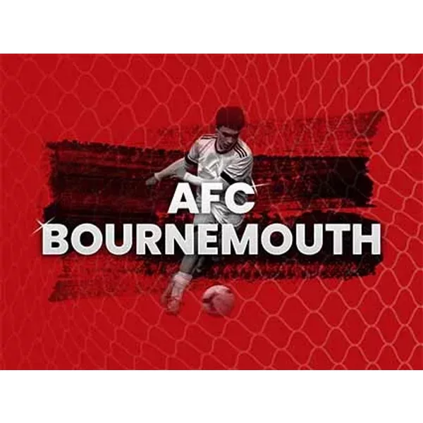Bournemouth Vs Newcastle United-image