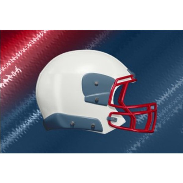 New England Patriots Vs Detroit Lions-image