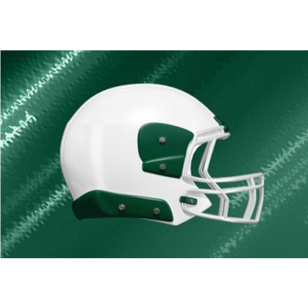New York Jets Vs Cleveland Browns-image