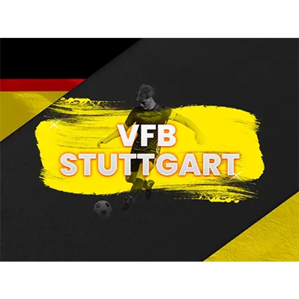 Vfb Stuttgart Vs SC Paderborn 07-image