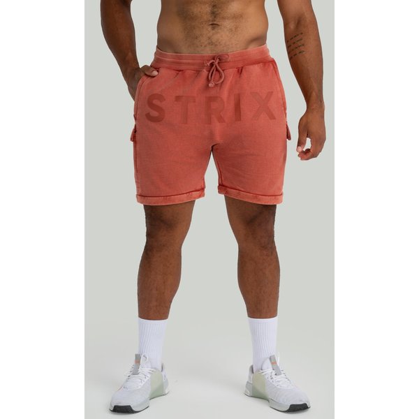 STRIX Shorts in Washed Terra XXL