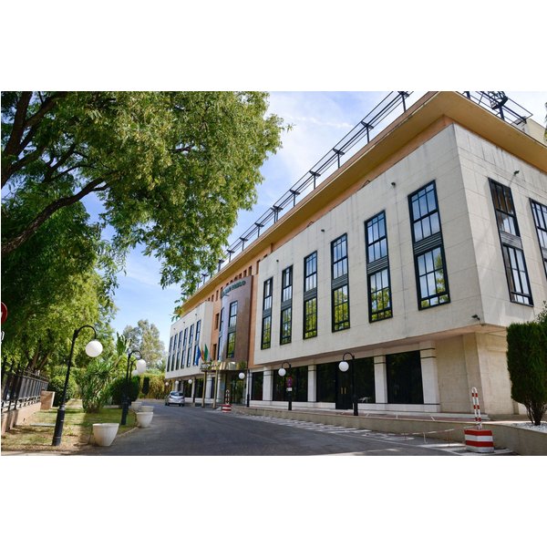 Pisa - Siviglia - Hotel San Pablo Sevilla-image