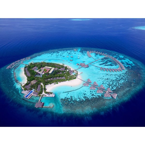 Bologna - Isola Di Nalaguraidhoo - Sun Island - Machchafushi Island Resort & Spa Maldives, The Centara Collection-image