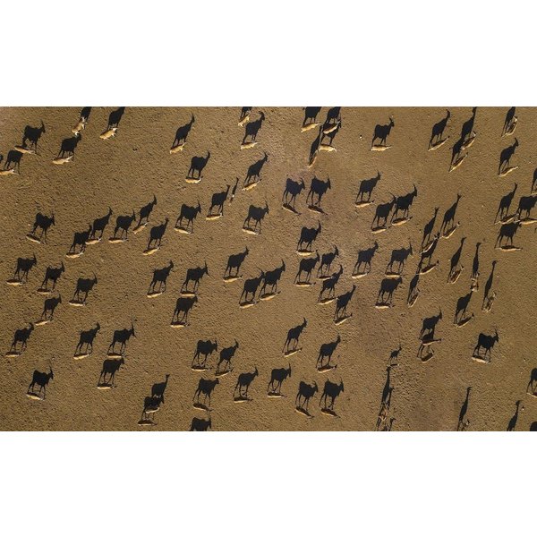 Sir Bani Yas Island - Anantara Sir Bani Yas Island Al Sahel Villas