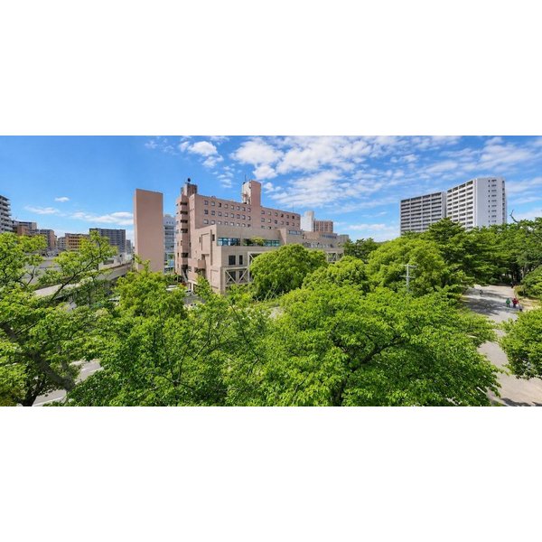 Suita - Minamisenri Crystal Hotel