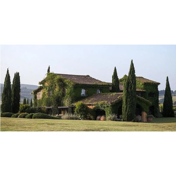 Marina di Bibbona - Relais Sant'Elena