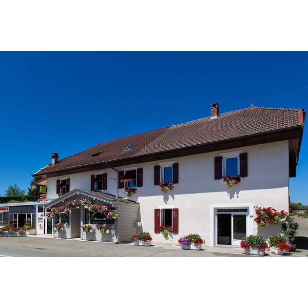 Rumilly - Hotel Blanc