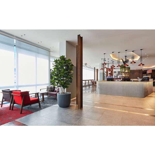 Newcastle - Holiday Inn Express NEWCASTLE by IHG