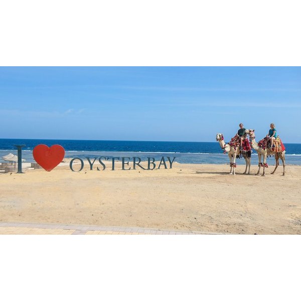 Bologna - Port Ghalib - Oyster Bay Beach Suites-image