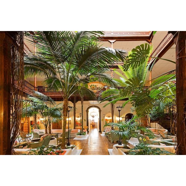 Milano - Puerto De La Cruz - Hotel Monopol-image