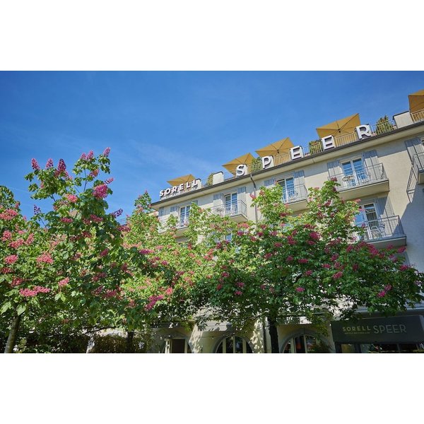 Feusisberg - Sorell Boutique-Hotel Speer Rapperswil