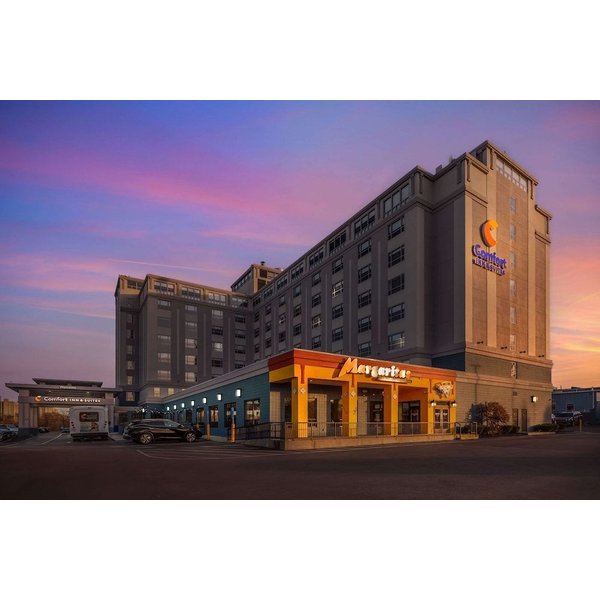 Milano - Boston (Ma) - Comfort Inn & Suites Logan International Airport-image