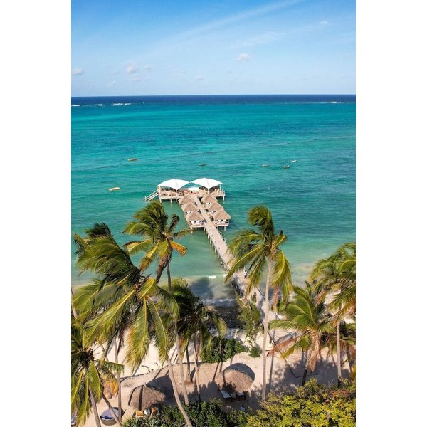 Torino - Jambiani, Zanzibar - Blue Moon Resort-image