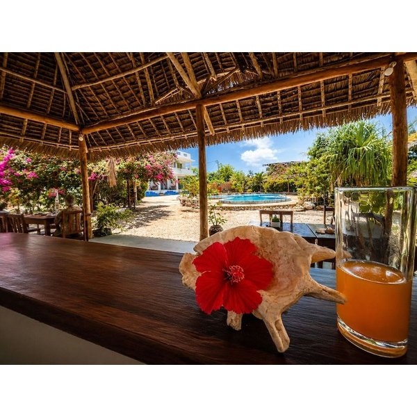 Bari - Kiwengwa - Amani Villa Zanzibar-image