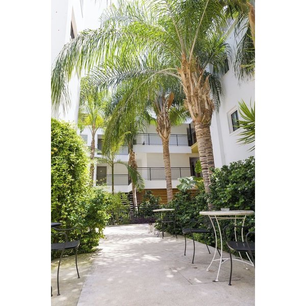 Milano - Paphos - Alecos Hotel Apartments-image