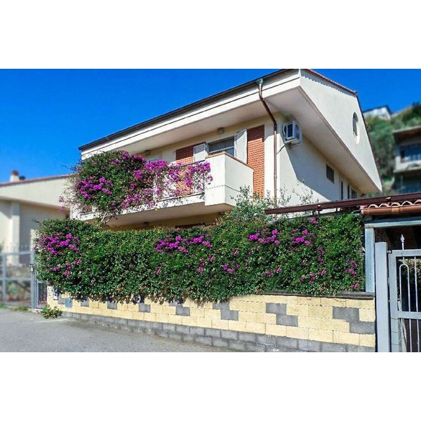 Ancona - Letojanni - Dolce Casa N41-image