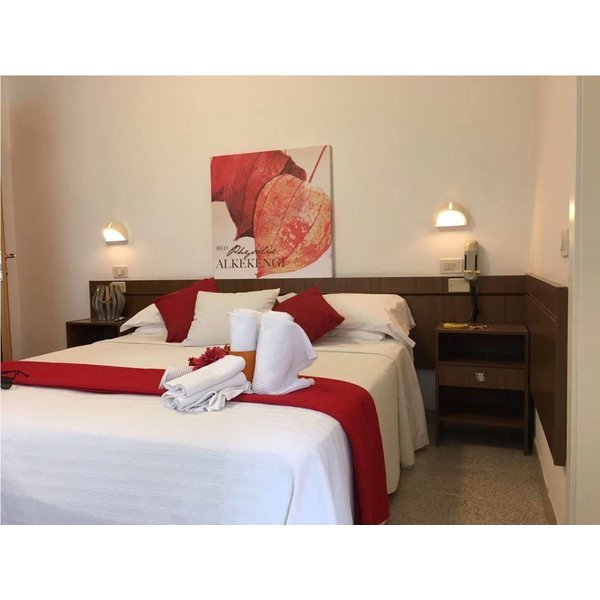 Torino - Riviera Romagnola, Mare Italia - Hotel Villa Lina Angolo Viale Dante-image