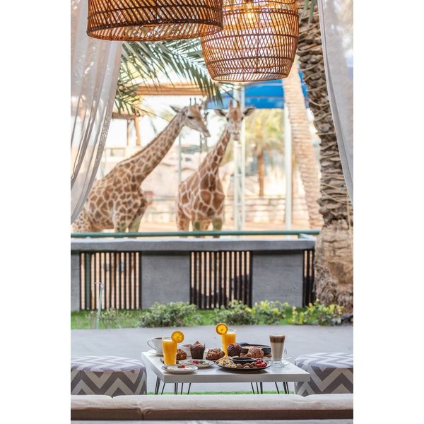 Bari - Abu Dhabi - Emirates Park Resort-image