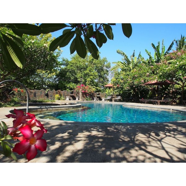 Roma - Buleleng - Rini Hotel-image