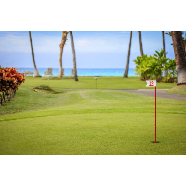 Milano - Kaanapali - Aston At Papakea Resort-image