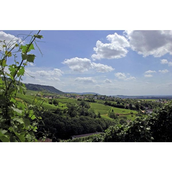 Roma - Offenburg - Holiday Inn Express Offenburg By IHG-image