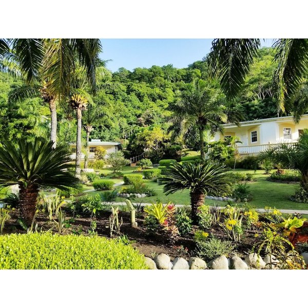 Saint Georgeʼs - Blue Horizons Garden Resort