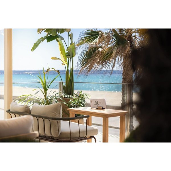 Torino - Palma Di Maiorca - Hotel Eden Palma Playa Adults Only-image