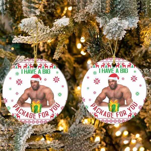 I Have A Big Package Funny Barry Christmas Ornament-image
