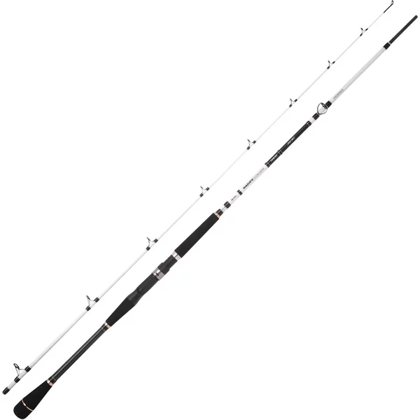 Spro Salty Beast Nano Jig BC Sea Fishing Rod 2.4M 150G 2Pc-image