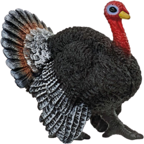 Schleich Farm World Turkey - 13900