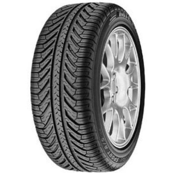 Michelin Pilot Sport A/S Plus ( 255/45 R19 100V N1 )