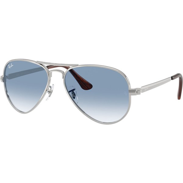 レイバン Ray-Ban RB3925 Aviator Max 003/3F メガネ フレーム - 男性用 - Silver
