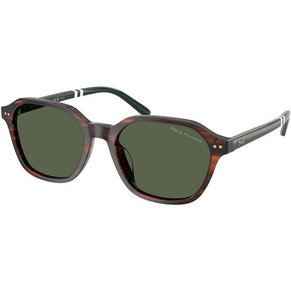 Polo Ralph Lauren PH4234U Polarized 63159A メガネ フレーム - 男性用 - べっ甲shell
