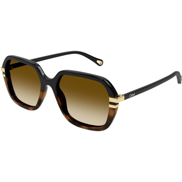 Chloé CH0204S 003 Women’s Sunglasses Black Size 57