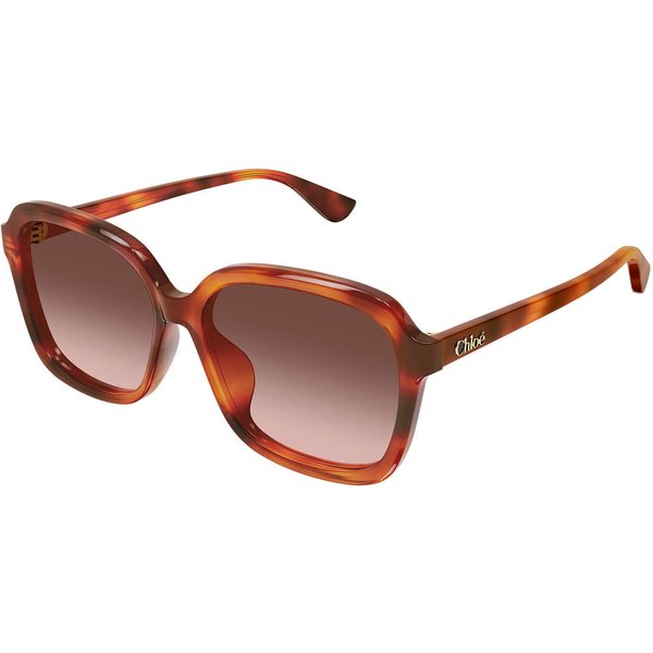 Chloé CH0390SK Asian Fit 002 Women’s Sunglasses Tortoiseshell Size 59