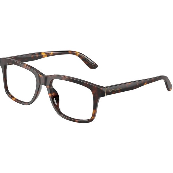 Dolce & Gabbana DG3453 502 サングラス - 男性用 - べっ甲shell