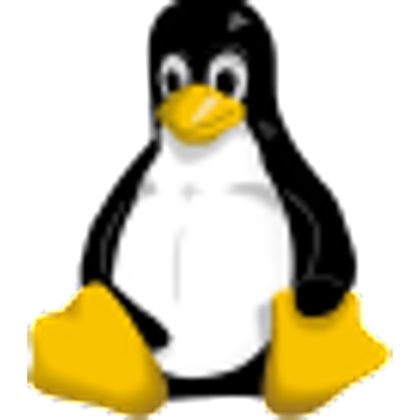 Express Linux Vps-image