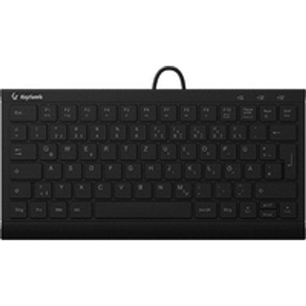 KeySonic KSK-5011ELC (DE) Tastatur Haus USB QWERTZ Deutsch Schwarz
