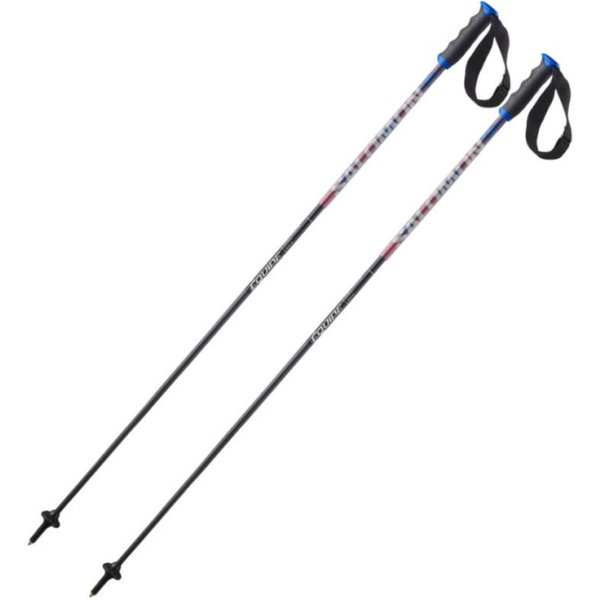 Salomon Equipe Carbon, ski poles, black/blue