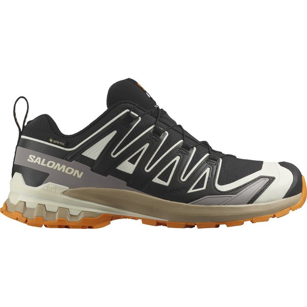 Salomon XA Pro 3D V9 GTX, trail shoes, men, black