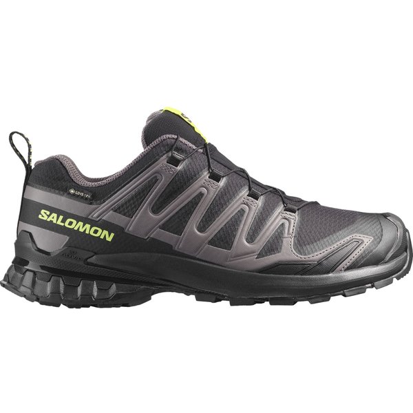 Salomon XA PRO 3D V9 GTX, trail shoes, men, black/dark gull gray/acid lime